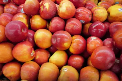 Shenandoah Apple Blossom Festival wraps up with concerts, parade this weekend