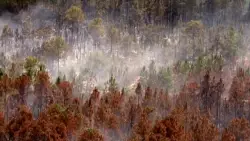 Crews monitoring grass fire in SW Miami-Dade that has burned 4.5 acres